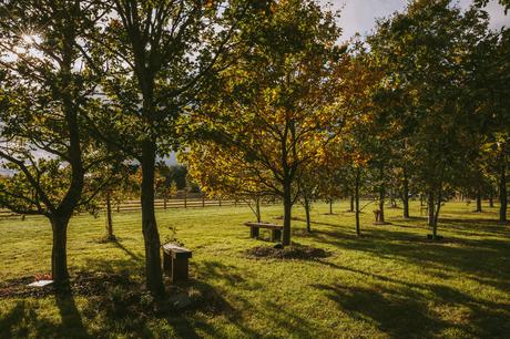 Northumberland Woodland Burials