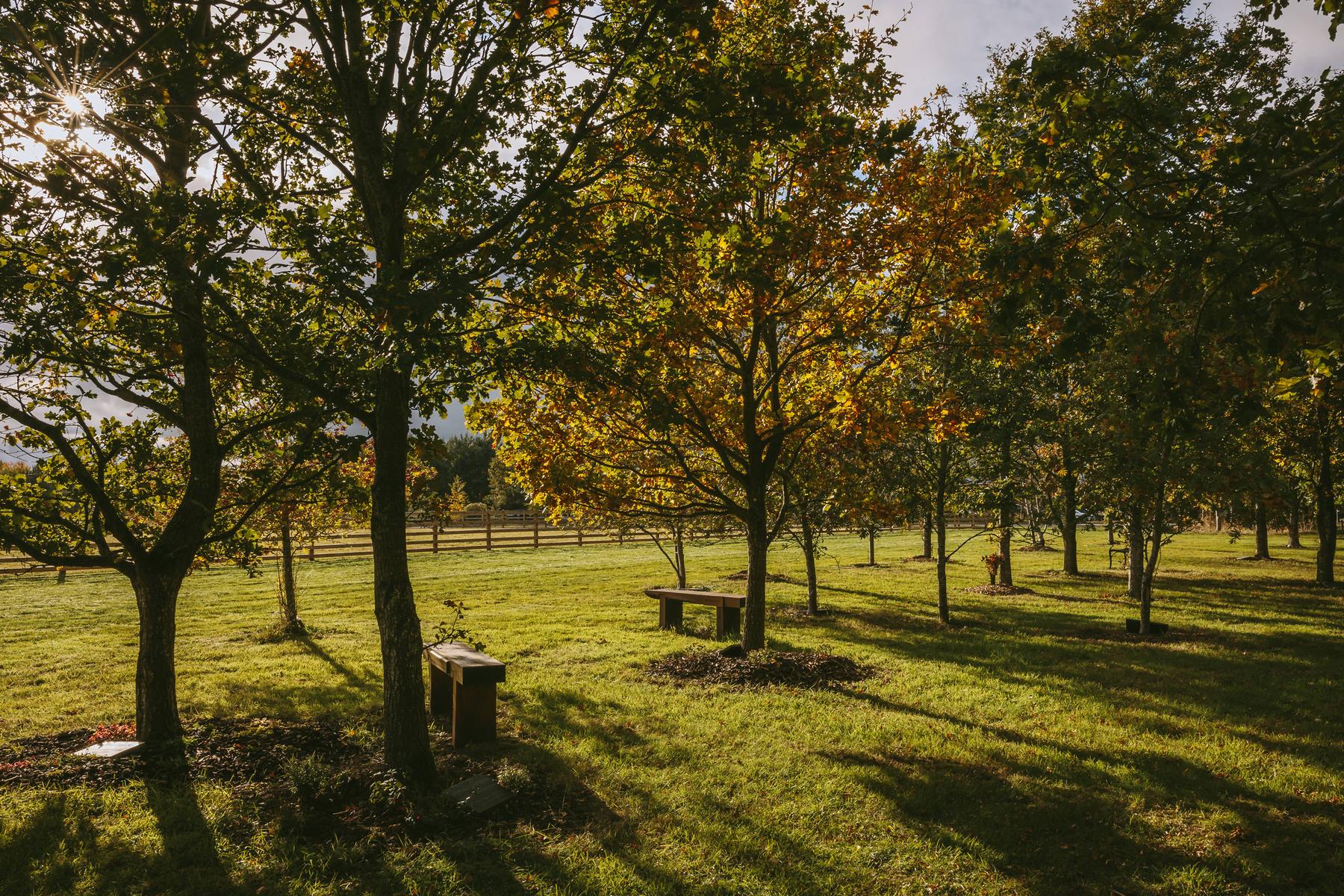 Northumberland Woodland Burials woodland walk